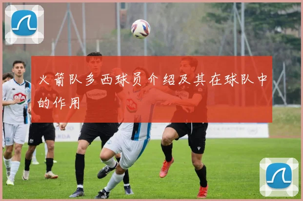 火箭队多西球员介绍及其在球队中的作用