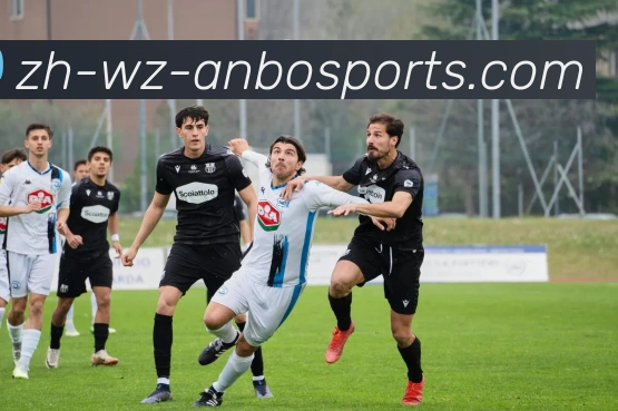 安博体育服务体系